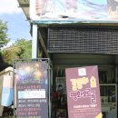 평화오르골 이미지