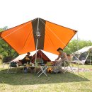 별빛애견 이미지