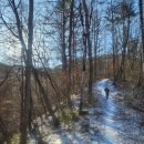 나무이야기 이미지