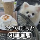 은하카페999 | 진주여행 애견동반카페 메텔 멍푸치노 강아지랑갈만한곳 내돈내산 후기