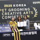 고려동물병원 (출장전문동물병원) 이미지