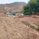 삼가제일부동산공인중개사사무소 이미지