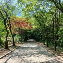 20260518 충남 논산 대둔산, 마천대~낙조대~수락폭포~월성봉 이미지