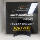 틴티스트