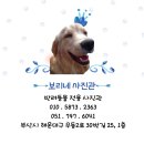 보리네사진관