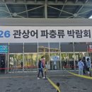 새생활슈퍼 | 2026 관상어 파충류 박람회 방문 후기!