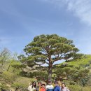 (주)코리아세븐도봉산길점 | 화담숲 모노레일 추천 어르신 꿀팁 X 70대 80대 국내 여행지