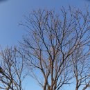 봉양목장 이미지