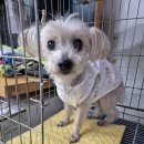 2016-03-0075