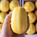 금사농장 이미지