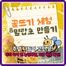 자연팜 | 구매자 대만족! 여주자연팜 꿀벌 농장체험, 아이들과 주말 나들이 어때요?