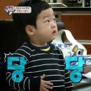 효원가든 | 겨울에 적는 여름 제주도🏝️