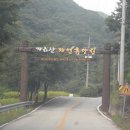 홍천군산림조합(가리산자연휴양림) Daum카페