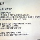 우연주리