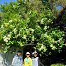 일화농장 이미지