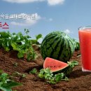 폴 바셋 강남역 삼성화재점
