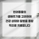 엉클장동물병원 이미지