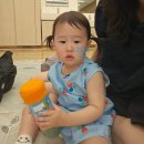 오감박스 | [혠도리의 육아이야기] 60. 롯백평촌 봄학기 트니트니 오감올리 문센 후기 (feat. 박아람 강사님)