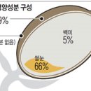 모두의영양소
