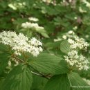 어쭈구리 이미지