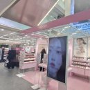 올리브영 강남타운점 팝업스토어(티타드 무료 샴푸 증정, 층별안내)