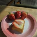 행복한 소농장 이미지