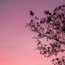 (주)리뷰 이미지