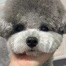 헬로우버디 판교밸리점 이미지
