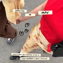 DAILY LOG in 5月 ② 그저 먹고 놀고 카페가고-!🎈🌝