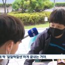 알잘딱깔센 이미지