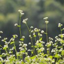 공음농장 이미지