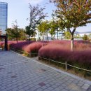 신서중앙공원 이미지