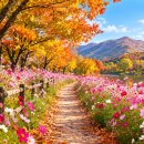 가을을 남기고 떠난 사랑 - 경음악 이미지