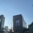 미디21 이미지