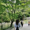도미정
