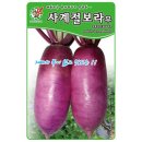 씨앗 이미지