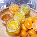 청은농원 | 수제청차 제주 정석이네농원 연말 고급진차 선물 조생종 귤