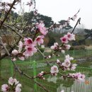 (주)주성 이미지