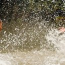 250622. 묵상글 ( 지극히 거룩하신 그리스도의 성체성혈 대축일. - - 오, 탄복하올 높음이며 경이로운 공손함이여!. 등 ) 이미지
