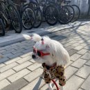 역대대통령들의 별장 청주데이트 청남대 나들이 [1]