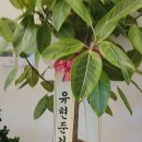 건축사사무소 화목 이미지