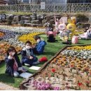 경산중앙초등학교 이미지