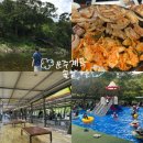 운주로 | 대전근교 물놀이 가볼만한곳 평상 운주계곡 솔밭가든 당일치기 후기 / 내돈내산