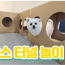 레츠개릿 이미지