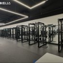 팀마린휘트니스 이미지