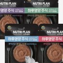 고양이 하루 이미지