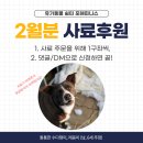 🐶 2월달 사료후원을 모집합니다 🐶 이미지