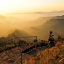 영남소재 이미지