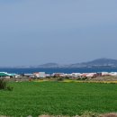 밭상구 이미지