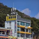 2188 | 부산 해운대 맛집 청사포 해림이네 솔직하게 적어보는 조개구이 후기